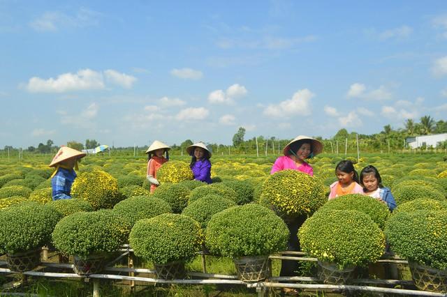 Về Đồng Tháp, nhớ làng hoa Sa Đéc và làng cổ Đồng Hòa Hiệp - Ảnh 3.