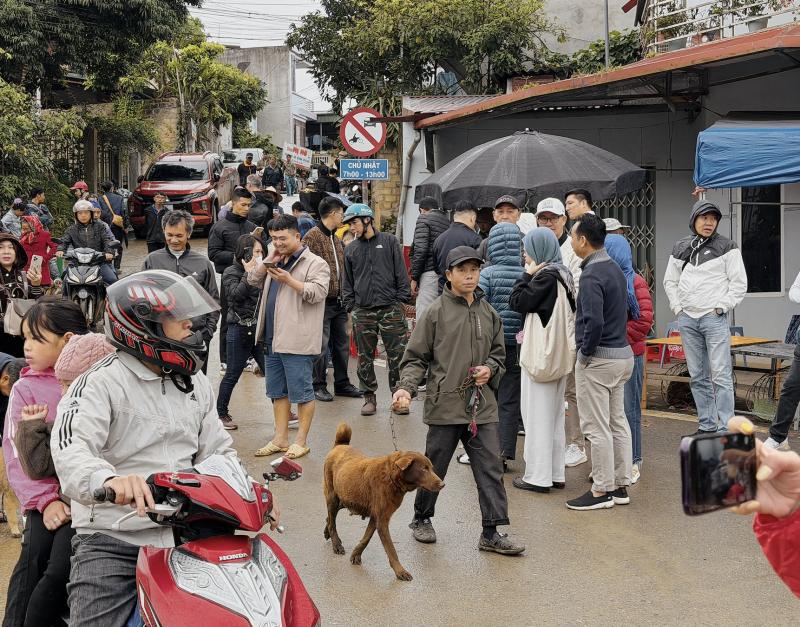 Tấp nập chợ chó Bắc Hà- Ảnh 6.