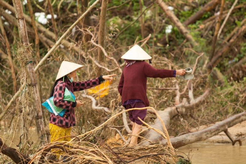 Người dân Luật Lễ nghẹn ngào: 'Tội nghiệp đàn bò… chúng bị cuốn đi hết'- Ảnh 4. Người dân Luật Lễ nghẹn ngào: 'Tội nghiệp đàn bò… chúng bị cuốn đi hết'- Ảnh 4.