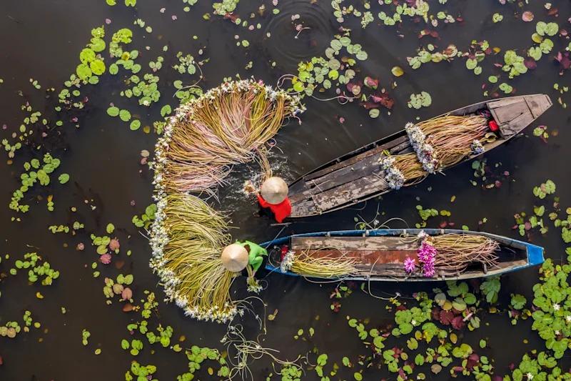 Báo Úc nói 8 lý do 'phải đến Việt Nam, hãy quên Nhật Bản hay Bali'- Ảnh 2.