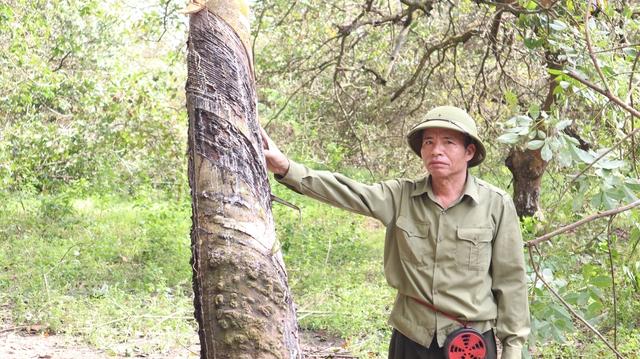 Nhận 21 tỉ đồng, bàn giao ngay đất dự án cao tốc Gia Nghĩa - Chơn Thành- Ảnh 5. Nhận 21 tỉ đồng, bàn giao ngay đất dự án cao tốc Gia Nghĩa - Chơn Thành- Ảnh 5.