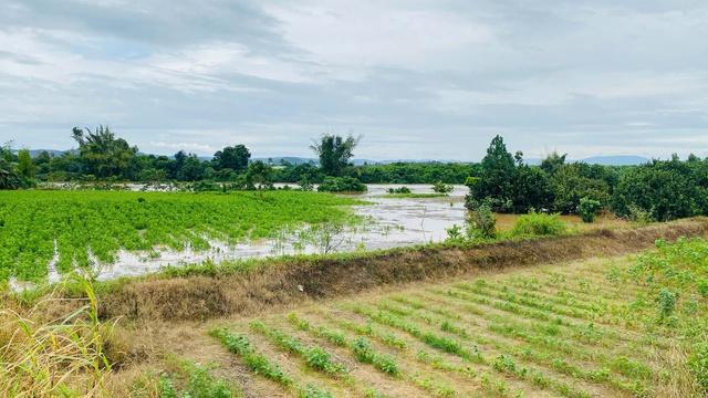 Đồng Nai: Thủy điện xả tràn không báo trước gây ngập lụt, thiệt hại 40 tỉ đồng- Ảnh 1. Đồng Nai: Thủy điện xả tràn không báo trước gây ngập lụt, thiệt hại 40 tỉ đồng- Ảnh 1.