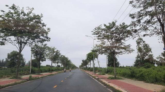  - Ảnh 3.
