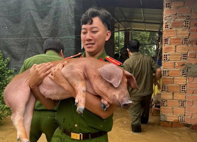 Thủy điện Đồng Nai 5 phản hồi khi xã nói 'không nhận được thông báo xả lũ'- Ảnh 8. Thủy điện Đồng Nai 5 phản hồi khi xã nói 'không nhận được thông báo xả lũ'- Ảnh 8.