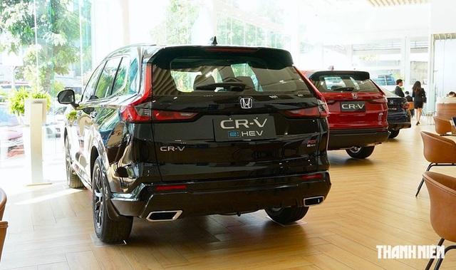 Các ‘ông lớn’ rục rịch lắp ráp, thời của xe hybrid tại Việt Nam đã đến? - Ảnh 2.