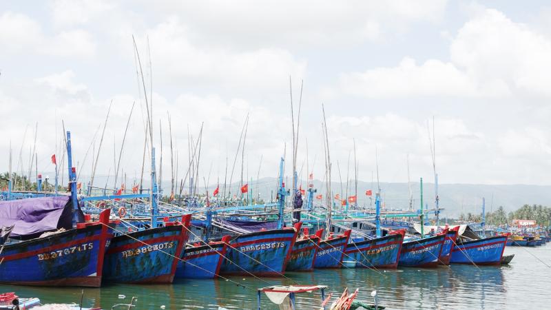 Việt Nam kiên quyết xử lý nghiêm và công khai, minh bạch các hành vi viphạm IUU - Ảnh 1.