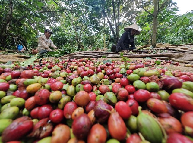 'Điểm nghẽn' nào khiến 5 ngành hàng tỉ USD cùng kiến nghị tháo gỡ? - Ảnh 1.