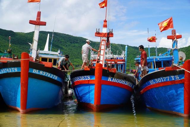 Khánh Hòa: Buộc sơ tán người nuôi trồng thuỷ sản vào bờ tránh bão số 13- Ảnh 1. Khánh Hòa: Buộc sơ tán người nuôi trồng thuỷ sản vào bờ tránh bão số 13- Ảnh 1.