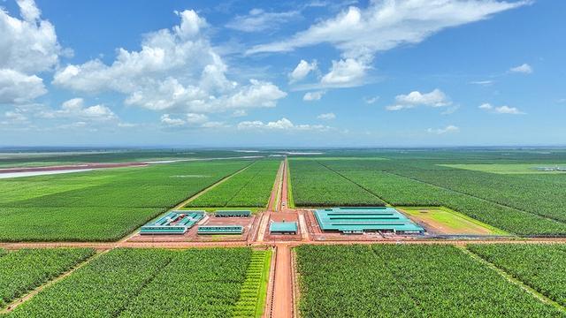 Thời cơ mới cho trái cây Việt- Ảnh 1.