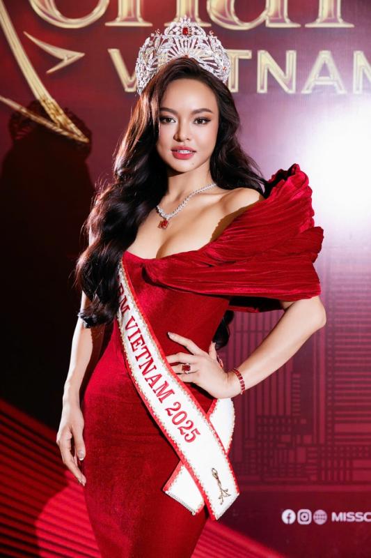 Mai Ngô xin không livestream họp báo vì lý do đặc biệt- Ảnh 2.