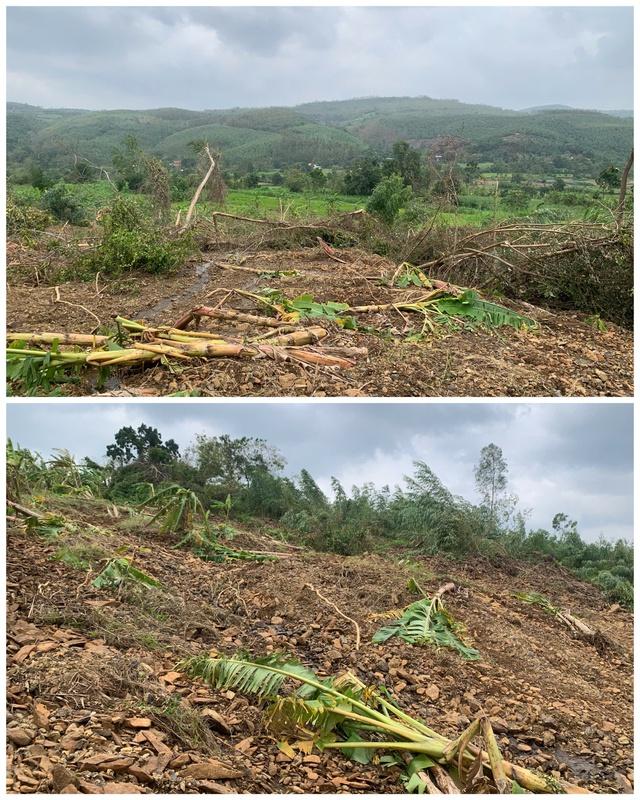 Đắk Lắk: Khẩn cấp di dời 13 hộ dân do sạt lở núi  - Ảnh 2.