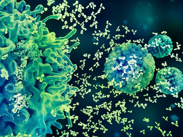 Bộ ba bảo vệ khỏi HPV: Tiêm chủng, xét nghiệm tầm soát, theo dõi kịp thời- Ảnh 1. Bộ ba bảo vệ khỏi HPV: Tiêm chủng, xét nghiệm tầm soát, theo dõi kịp thời- Ảnh 1.