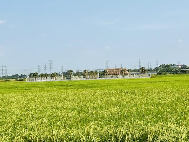 Đưa khuyến nông về cấp xã - Ảnh 1.
