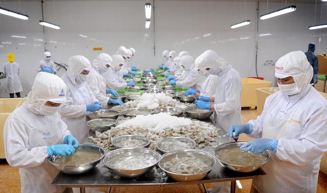 Cà Mau: Thưởng tết 2026 cao nhất 200 triệu, lương bình quân đến 12 triệu đồng người - Ảnh 1.