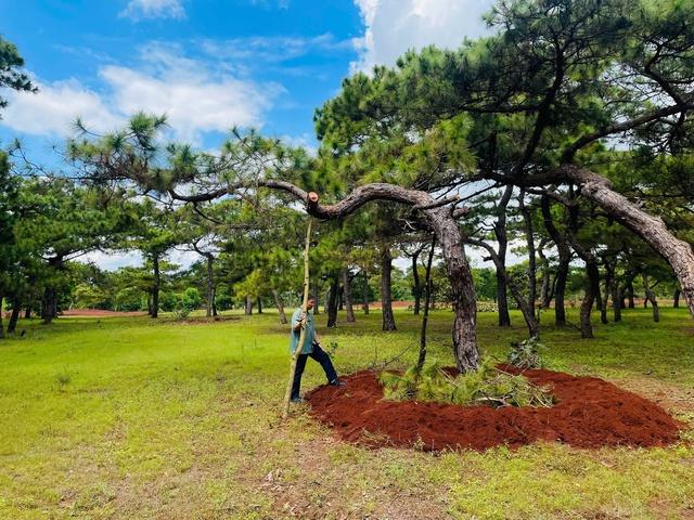 Chấp thuận đầu tư sân golf Đăk Đoa hơn 1.150 tỉ đồng- Ảnh 1.