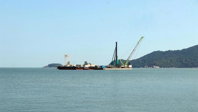 Cà Mau chuyển 9,85 ha rừng phòng hộ làm đường giao thông ra đảo Hòn Khoai - Ảnh 1.