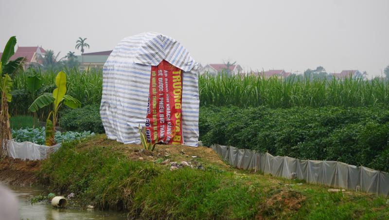 Giá ớt lập kỷ lục , nông dân thanh hóa trăn trở về bảo vệ mùa vụ - Ảnh 7. Giá ớt lập kỷ lục , nông dân thanh hóa trăn trở về bảo vệ mùa vụ - Ảnh 7.