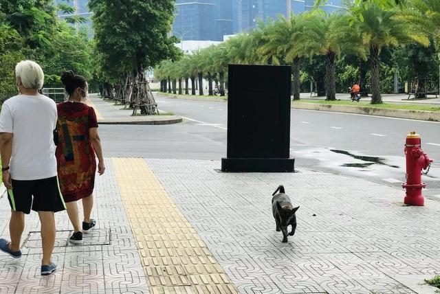 Lăng kính bạn đọc: Không để người dân bất an với nạn chó thả rông - Ảnh 1.