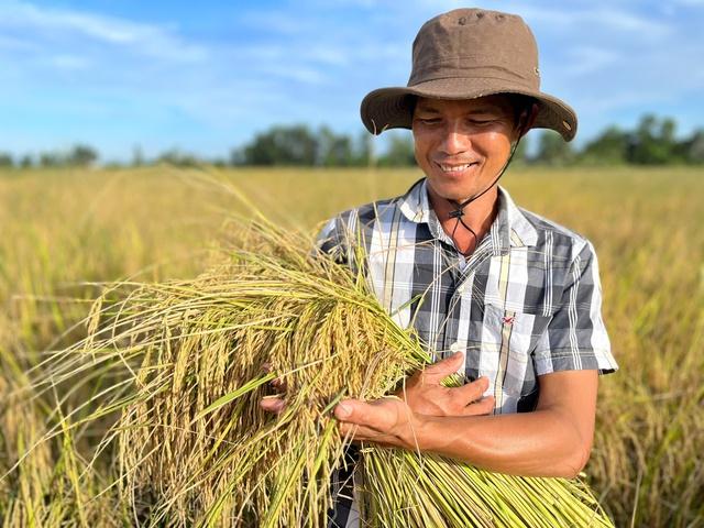 Lúa gạo miền Tây thay đổi tư duy 'làm nhiều' sang 'làm đúng'- Ảnh 3. Lúa gạo miền Tây thay đổi tư duy 'làm nhiều' sang 'làm đúng'- Ảnh 3.