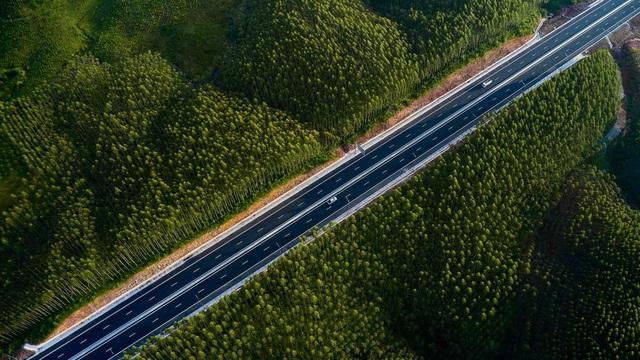 Xuân về sớm trên 3.000 km cao tốc Bắc - Nam- Ảnh 2. Xuân về sớm trên 3.000 km cao tốc Bắc - Nam- Ảnh 2.