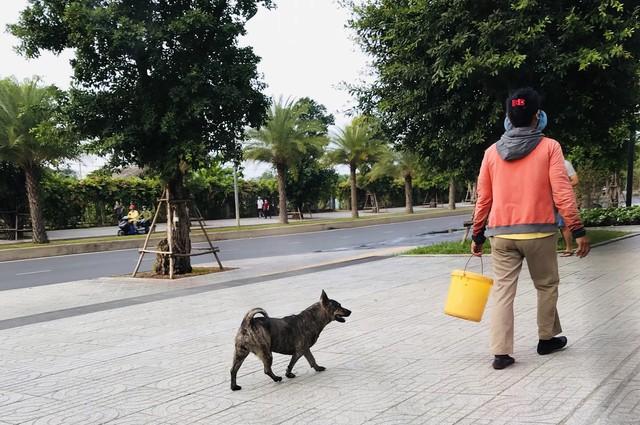 Thả rông chó, mèo phạt bao nhiêu, ai xử phạt?- Ảnh 3. Thả rông chó, mèo phạt bao nhiêu, ai xử phạt?- Ảnh 3.