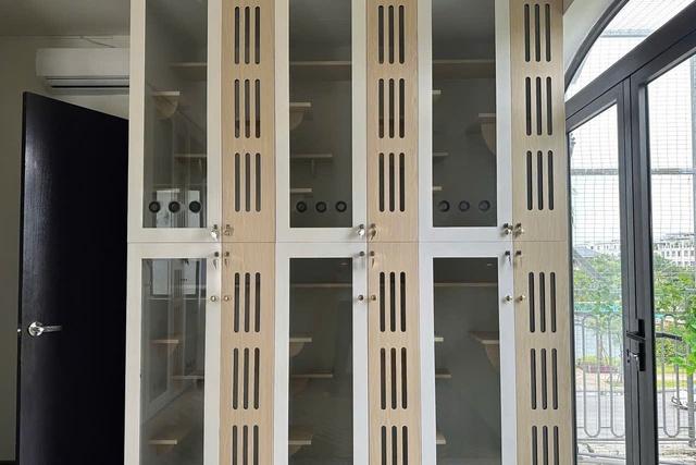 Làm đẹp thú cưng ở TP.HCM: Kiên nhẫn và cả trắc ẩn với khách hàng 4 chân- Ảnh 7. Làm đẹp thú cưng ở TP.HCM: Kiên nhẫn và cả trắc ẩn với khách hàng 4 chân- Ảnh 7.