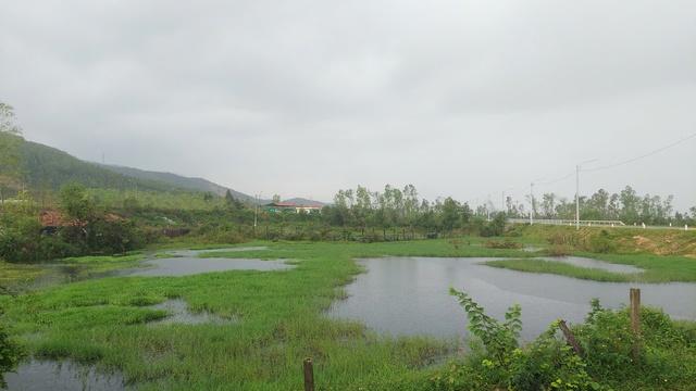 Nước thải bãi rác chảy tràn ra suối, người dân lo ngại ô nhiễm- Ảnh 4.