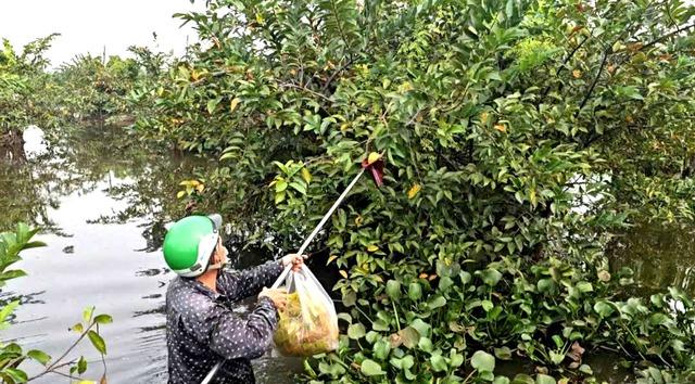 Gian nan nghề hái lộc trời tại Sài Gòn giữa dòng đời hiện đại - Ảnh 7. Gian nan nghề hái lộc trời tại Sài Gòn giữa dòng đời hiện đại - Ảnh 7.