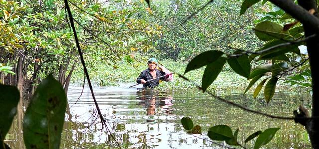 Gian nan nghề hái lộc trời tại Sài Gòn giữa dòng đời hiện đại - Ảnh 5. Gian nan nghề hái lộc trời tại Sài Gòn giữa dòng đời hiện đại - Ảnh 5.