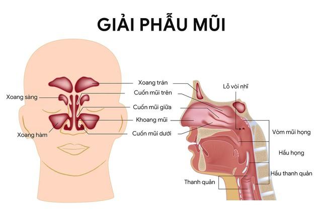 Đau hàm, nghẹt mũi, chảy máu răng - Đi khám phát hiện ung thư xoang- Ảnh 2.
