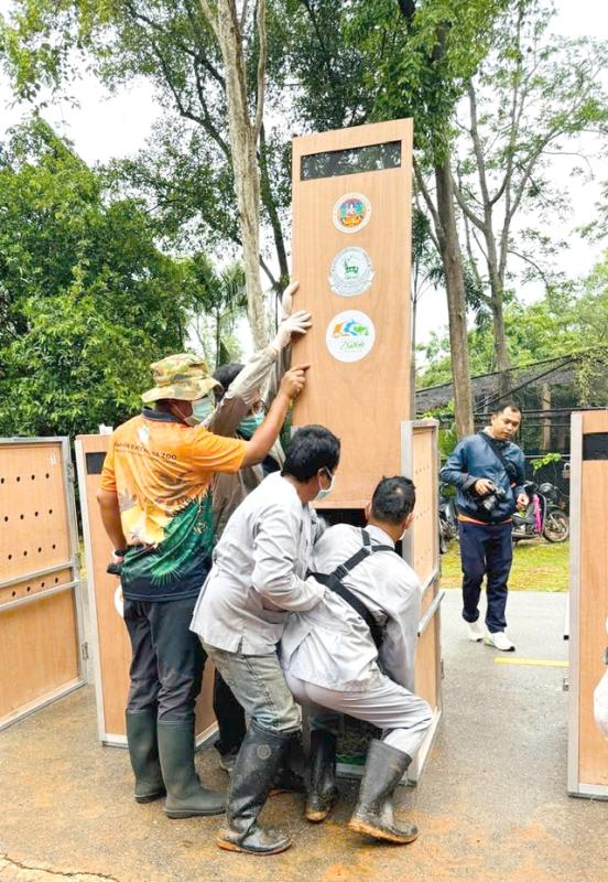 Nỗ lực bảo tồn sếu đầu đỏ và hành trình đưa chúng về quê hương việt nam - Ảnh 4. Nỗ lực bảo tồn sếu đầu đỏ và hành trình đưa chúng về quê hương việt nam - Ảnh 4.