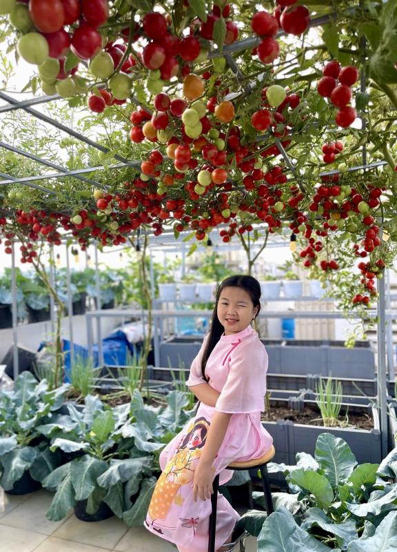 Sốc với giá hạt giống cà chua bạch tuộc, thành quả đáng đồng tiền - Ảnh 9.