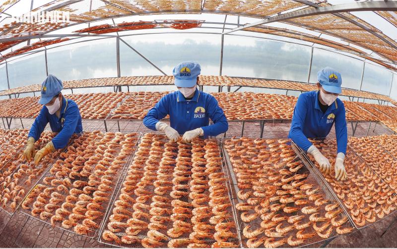 Tôm sú khô nguyên vỏ Cà Mau 'cháy hàng' dịp tết, giá 1,5 triệu/kg vẫn hút khách - Ảnh 5.