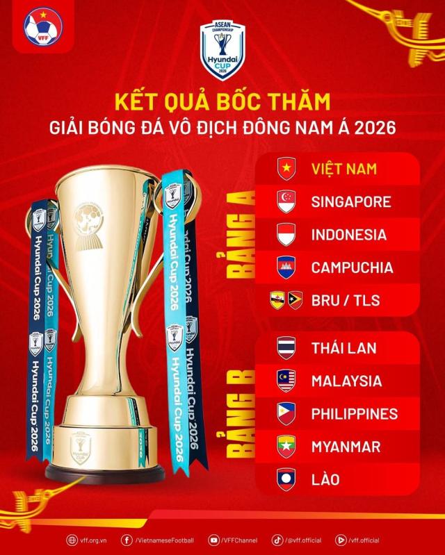 Đội tuyển Việt Nam tự tin bảo vệ chức vô địch AFF Cup - Ảnh 2.