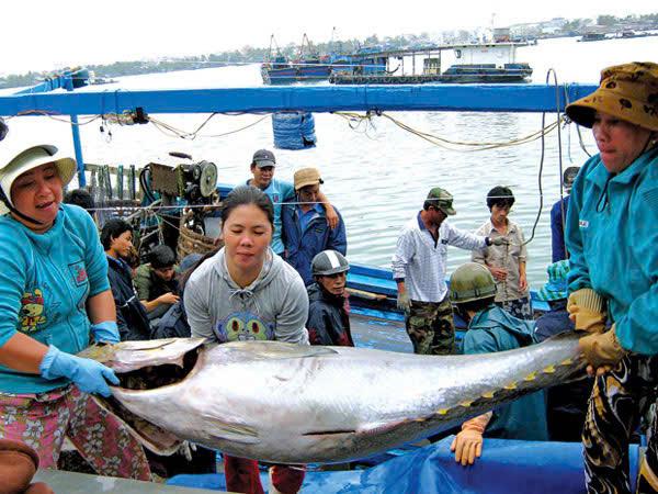 Làm gì để xuất khẩu nông sản lặp lại kỳ tích?- Ảnh 2. Làm gì để xuất khẩu nông sản lặp lại kỳ tích?- Ảnh 2.