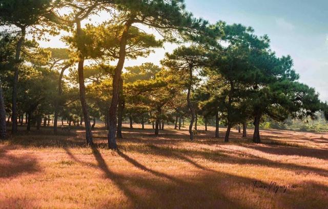 Gia Lai chấp thuận dự án sân golf Đăk Đoa hơn 1.150 tỉ đồng- Ảnh 1. Gia Lai chấp thuận dự án sân golf Đăk Đoa hơn 1.150 tỉ đồng- Ảnh 1.