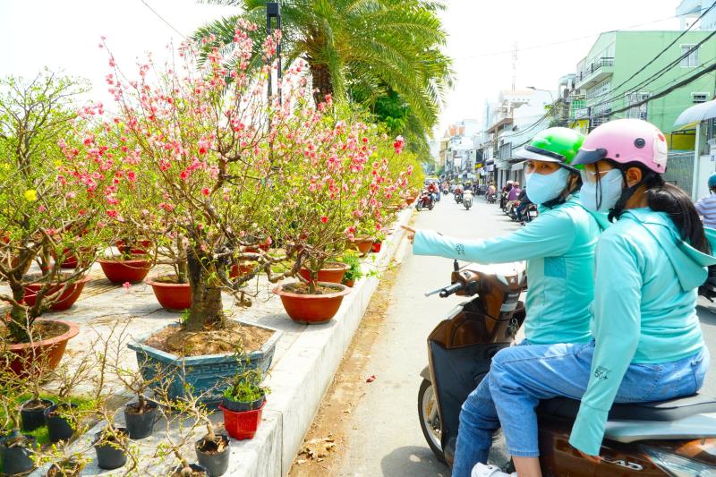 Bất ngờ giá hoa đào ' độc nhất ' ở chợ hoa Cần Thơ Tết Nguyên đán 2026 - Ảnh 4. Bất ngờ giá hoa đào ' độc nhất ' ở chợ hoa Cần Thơ Tết Nguyên đán 2026 - Ảnh 4.