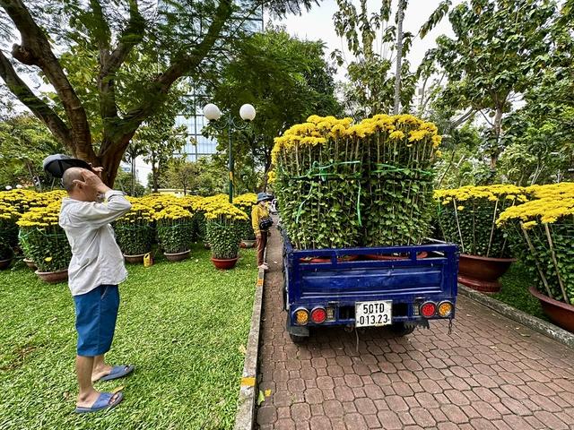 Hoa tết mọi miền khoe sắc giữa lòng TP.HCM- Ảnh 3. Hoa tết mọi miền khoe sắc giữa lòng TP.HCM- Ảnh 3.