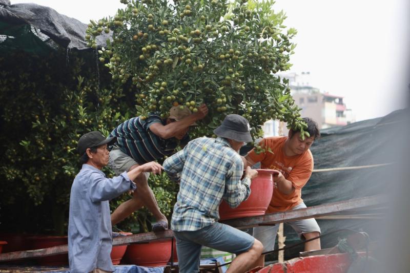 TP.HCM nhìn từ sông Sài Gòn - Kỳ 2: Bến Bình Đông 'giữ nhịp' xuân - Ảnh 4. TP.HCM nhìn từ sông Sài Gòn - Kỳ 2: Bến Bình Đông 'giữ nhịp' xuân - Ảnh 4.