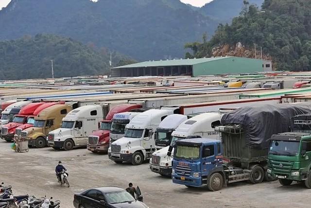 Văn phòng Chính phủ 'hỏa tốc' yêu cầu hướng  dẫn kiểm tra thực phẩm nhập khẩu trước 5.2. - Ảnh 1.