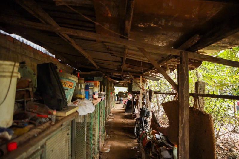 TP.HCM nhìn từ sông Sài Gòn: Thanh Đa 'độc bản', nhà chọc trời chờ mọc- Ảnh 9. TP.HCM nhìn từ sông Sài Gòn: Thanh Đa 'độc bản', nhà chọc trời chờ mọc- Ảnh 9.