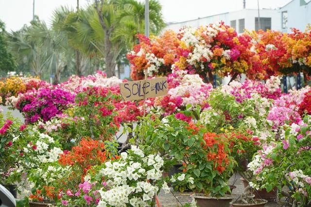 Người bán hoa ở Cần Thơ: “Treo biển giảm giá đau lòng lắm”- Ảnh 4.