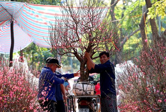 Nhà vườn chờ sức mua khởi sắc cận tết- Ảnh 1. Nhà vườn chờ sức mua khởi sắc cận tết- Ảnh 1.