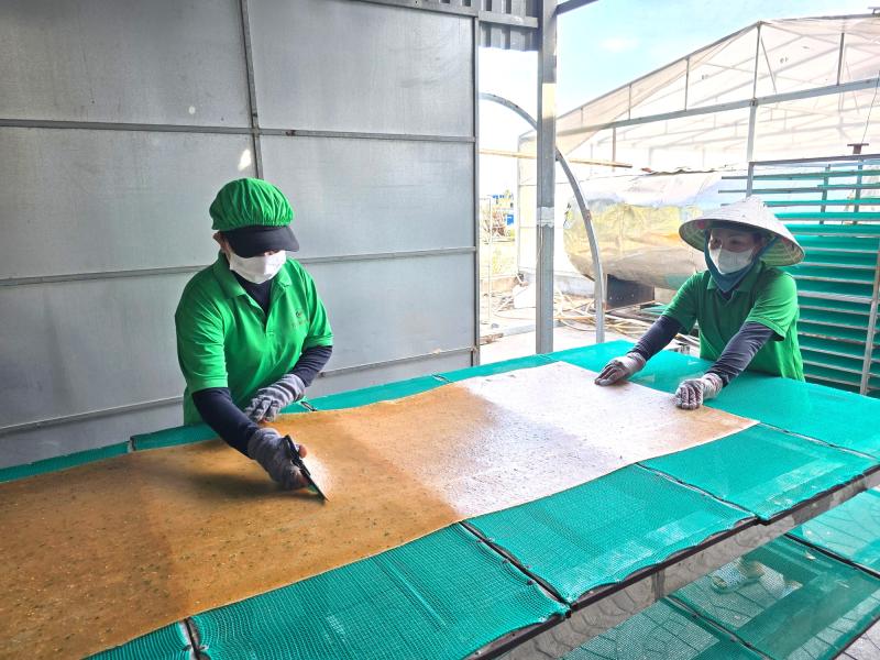 Cận tết, làng bánh phồng tôm ở Cà Mau tăng tốc, đơn hàng tăng 30% - Ảnh 1.