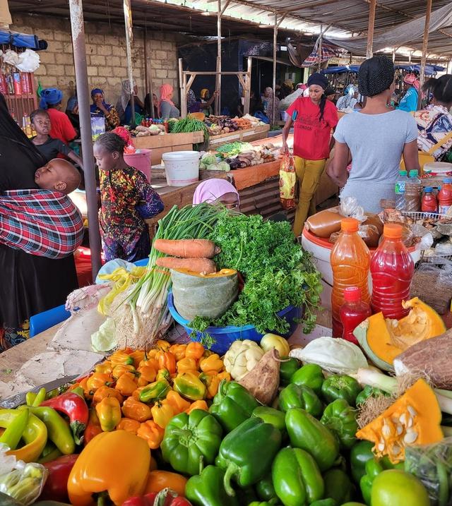 Nàng dâu Việt ở Senegal thuê xe ngựa tìm nguyên liệu làm nem rán, giò chả - Ảnh 4.