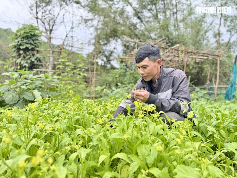 Tết về ở tổ dân cư '5 không' giữa đại ngàn Quảng Ngãi- Ảnh 9. Tết về ở tổ dân cư '5 không' giữa đại ngàn Quảng Ngãi- Ảnh 9.