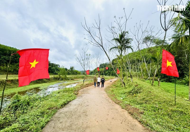 Tết về ở tổ dân cư '5 không' giữa đại ngàn Quảng Ngãi- Ảnh 8. Tết về ở tổ dân cư '5 không' giữa đại ngàn Quảng Ngãi- Ảnh 8.