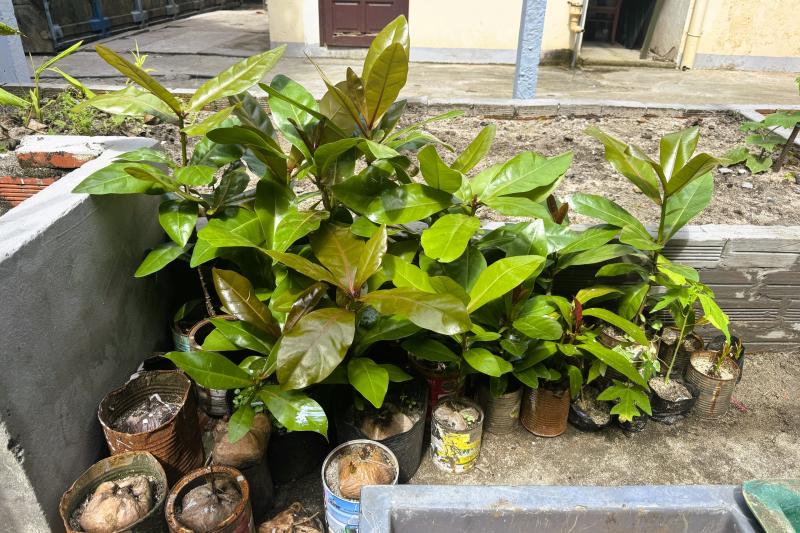 Tết ở Trường Sa - Kỳ 7: Sinh Tồn xanh xanh- Ảnh 13. Tết ở Trường Sa - Kỳ 7: Sinh Tồn xanh xanh- Ảnh 13.