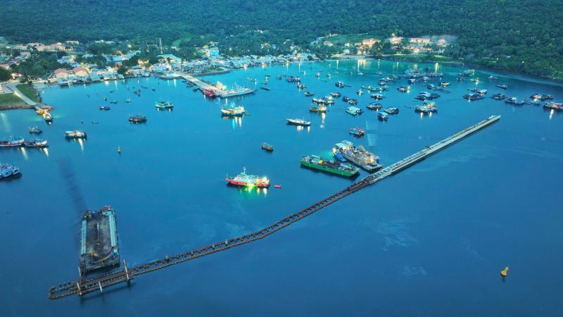 Năm Ngọ kể chuyện cá ngựa bố mang thai- Ảnh 4. Năm Ngọ kể chuyện cá ngựa bố mang thai- Ảnh 4.