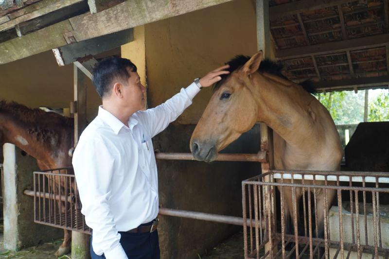 Trại ngựa cho huyết thanh cứu người - Ảnh 5. Trại ngựa cho huyết thanh cứu người - Ảnh 5.
